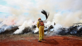 Alta temperatura e baixa umidade fazem Defesa Civil emitir alerta para risco de incêndio no interior de São Paulo