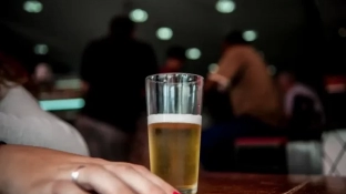 Governo de SP lança Rotas da Cerveja e fortalece cadeia produtiva em 55 municípios
