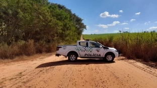 Polícia de SP intensifica o combate a crimes ambientais em todo o estado