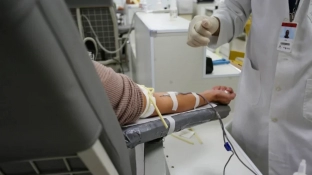 Doação de sangue em SP: veja quem pode doar e quais são os impedimentos temporários