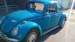 Seu veículo vai ‘trintar’ em 2026? Veja como presenteá-lo com a placa preta de colecionável
