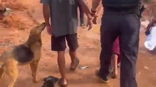 Polícia Civil prende padrasto suspeito de estuprar enteada de 13 anos em Tapiraí