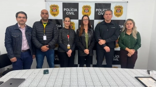 Comissão especial da Câmara se reúne com delegada da DDM e discute falhas na rede de proteção à criança
