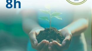 Ofebas promove plantio de mudas na região do Éden, em Sorocaba