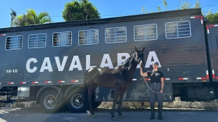 Cavalaria do Baep em Sorocaba utiliza equoterapia para auxiliar crianças e fortalecer vínculo com a comunidade