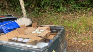 PM Ambiental apreende cerca de 162 kg de palmito sem nota fiscal em São Miguel Arcanjo