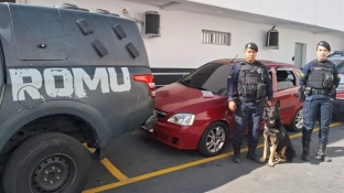 GCM recolhe veículos e apreende drogas com apoio da equipe do Canil no ‘Laranjeiras’
