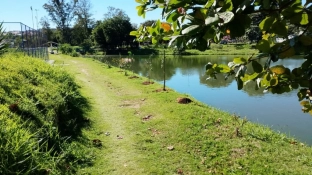 Prefeitura de Sorocaba realiza plantio de 40 mudas de árvores no Parque dos Espanhóis