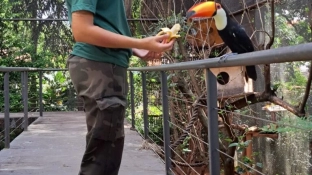 Zoológico de Sorocaba tem programação especial de férias neste mês de julho