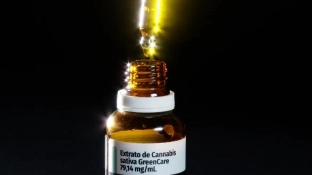 Autorizações para importação de cannabis aumentam 29% em 2026