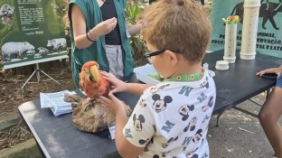 Ação do Zoológico de Sorocaba em comemoração aos animais do mês de abril teve atividades com foco na arara-vermelha e na anta