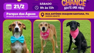 Parque das Águas recebe a feira de adoção de cães do Canil Municipal neste sábado (21)