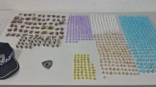 Guarda Civil Municipal apreende 773 porções de entorpecentes no bairro Jardim Alegria