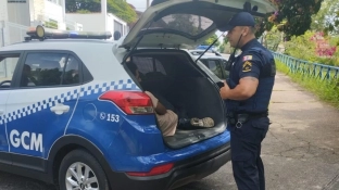 GCM intervém em caso de violência doméstica em Brigadeiro Tobias