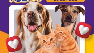 Canil Municipal de Sorocaba é aberto para adoção responsável de cães e gatos neste sábado (30)