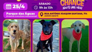 Parque das Águas recebe a feira de adoção de cães do Canil Municipal neste sábado (25)