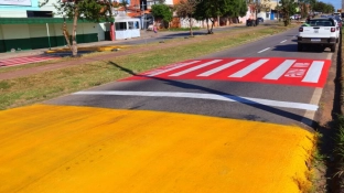 Prefeitura finaliza mutirão de zeladoria e serviços na região do Ana Paula Eleutério