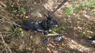 GCM apreende adolescente e 432 porções de drogas no Parque São Bento