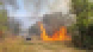 Há três dias, a Floresta Nacional de Ipanema sofre com um incêndio devastador