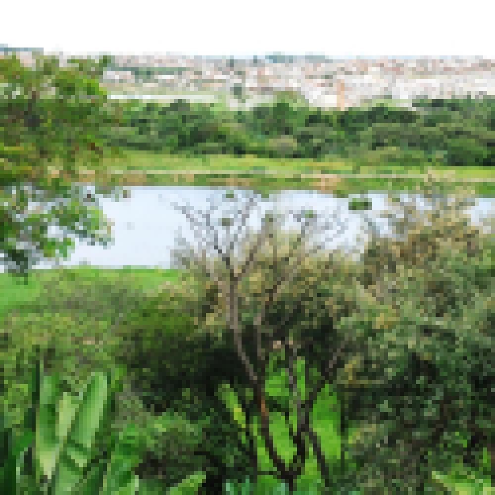 Trabalho amplo e contínuo garante o patrimônio verde de Sorocaba
