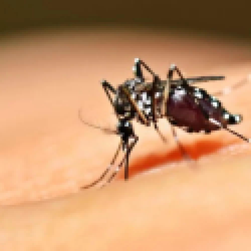 Votorantim registra 118 casos de dengue